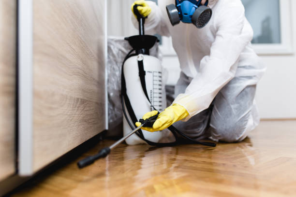 Best Pest Removal Services  in Waverly, TN