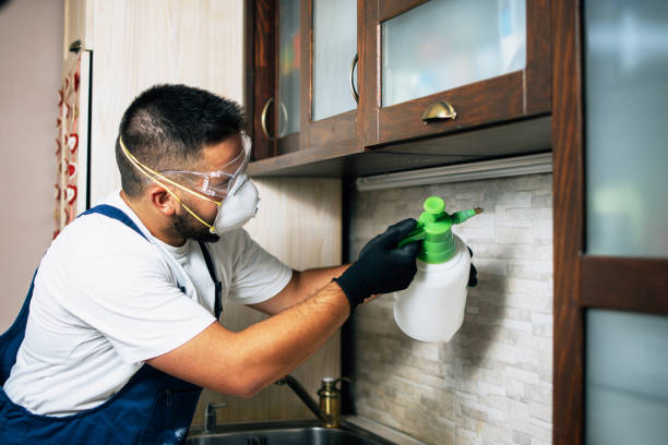 Best Cockroach Control Services  in Waverly, TN