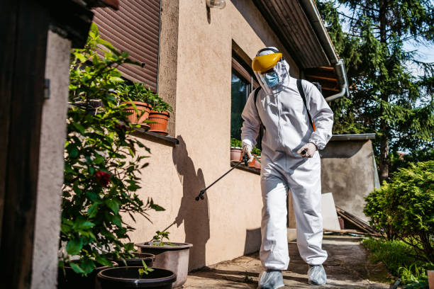 Best Local Pest Control Services  in Waverly, TN