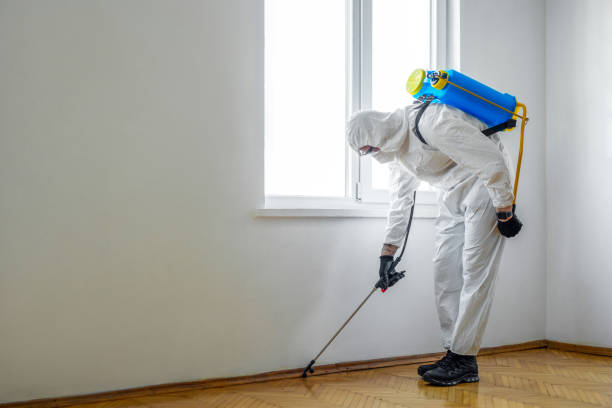 Best Best Pest Control Companies  in Waverly, TN