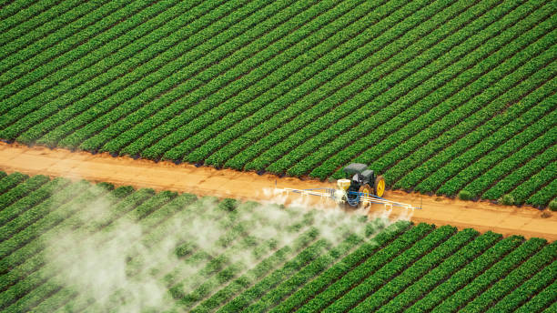 Best Pest Control Cost  in Waverly, TN
