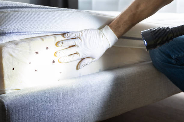 Best Residential Pest Control  in Waverly, TN