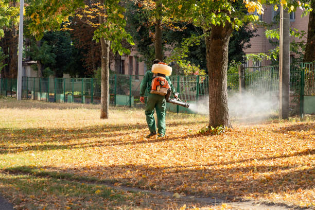 Wasp Removal Services in Waverly, TN