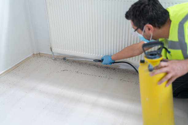 Best Best Pest Control Companies  in Waverly, TN